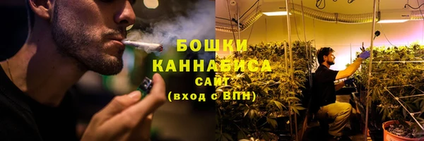 прущие грибы Каменск-Шахтинский