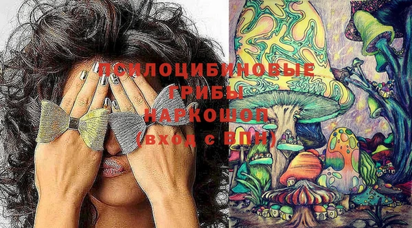 альфа пвп Каменка