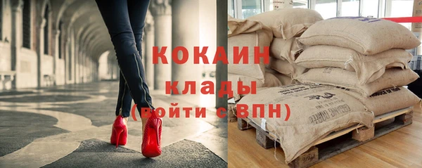 прущие грибы Каменск-Шахтинский