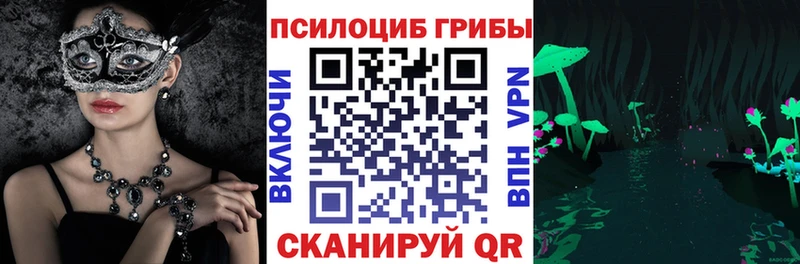 MEGA tor Спасск Псилоцибиновые грибы GOLDEN TEACHER